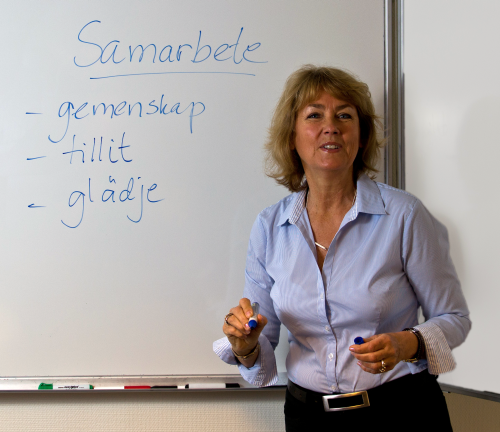 Workshop i samarbete